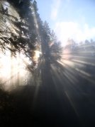 Silver Falls 12.10.05 008 